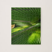 Saw Palmetto Photoクローズアップ ジグソーパズル (縦)
