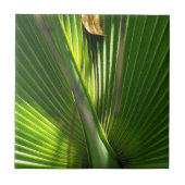 Saw Palmetto Photoクローズアップ タイル (正面)