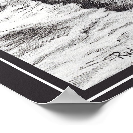 Saw-Whet Owl  ポスター (角)