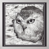 Saw-Whet Owl  ポスター (正面)
