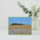 Sawgrassのベイヘッド ポストカード (スタンド正面)