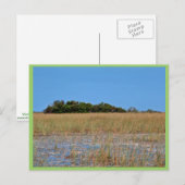 Sawgrassのベイヘッド ポストカード (正面/裏面)
