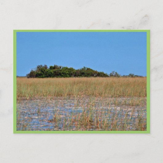 Sawgrassのベイヘッド ポストカード (正面)