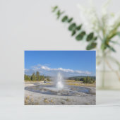 Sawmill Geyser, Yellowstone National Park ポストカード (スタンド正面)