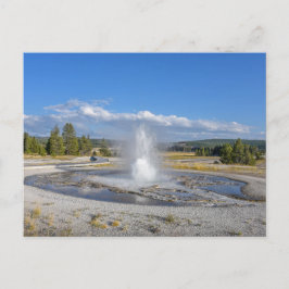 Sawmill Geyser, Yellowstone National Park ポストカード