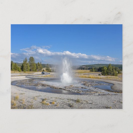 Sawmill Geyser, Yellowstone National Park ポストカード (正面)