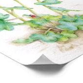 Saxifraga cernua高山植物の水のカラーアート ポスター (角)