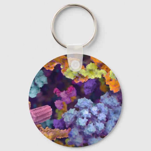 SBキーチェーン キーホルダー (正面)