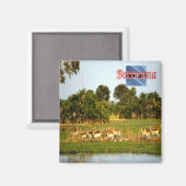 sBW009 BOTSWANA, Group of Female Lechwe,冷蔵庫 マグネット (正面/裏面)