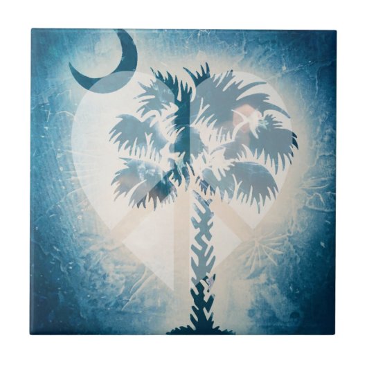 SCの単一性のセラミックタイル タイル (正面)