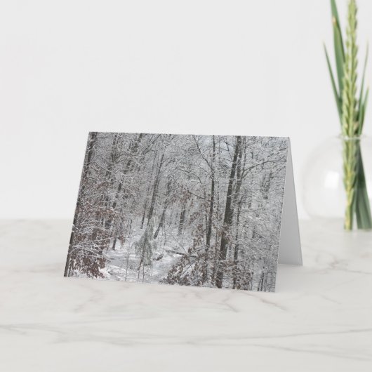 SCのmtnsの降雪 シーズンカード (正面)