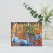 SC、サムター、スワンレイクアンドアイリスガーデンズ ポストカード (スタンド正面)