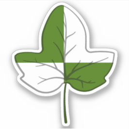 SCAアイビエイカスタムンサストのビニールシール シール