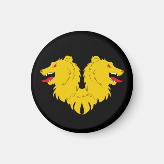 SCAカソード磁石 マグネット (正面)