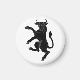 SCAクラスタ マグネット