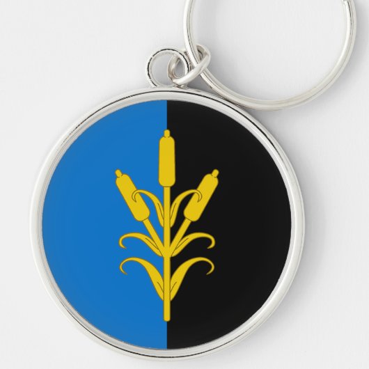 SCAサンスインズボグキーチェーン キーホルダー (正面)