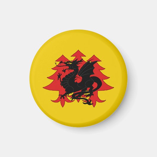 SCAドラチェンヴァルト磁石 マグネット (正面)