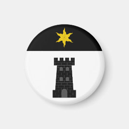 SCAボーダゲート磁石 マグネット