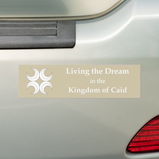 SCA Caid Bumper Sticker バンパーステッカー (車上)