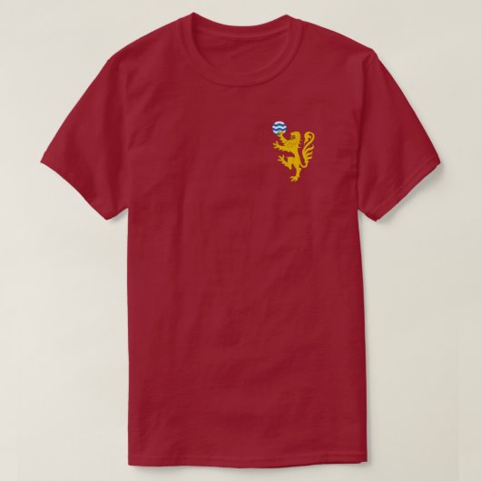 SCA Ffynnon Gath Tシャツ (デザイン正面)