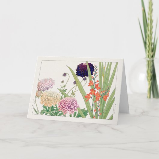 Scabiosa，モンブレティアby谷上湖南 カード (正面)