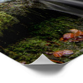 Scaleberフォース秋 ポスター (角)