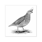 Scaled Quail セルフインキングスタンプ (デザイン)
