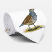 Scaled Quail ネクタイ (ロール)