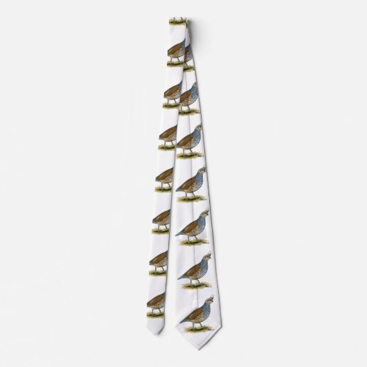 Scaled Quail ネクタイ (裏面)