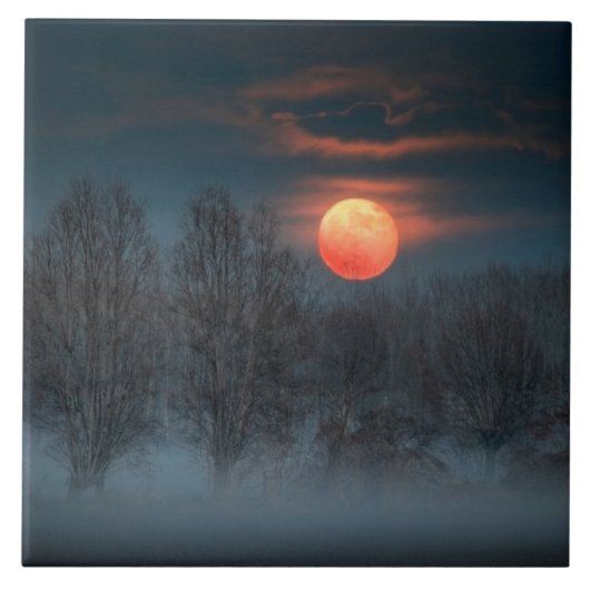 Scalenghe in Piedmont, Italy タイル (正面)