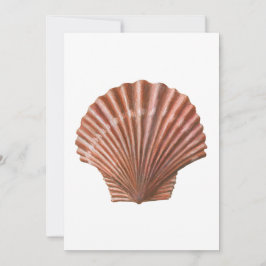 Scallop Shell 招待状