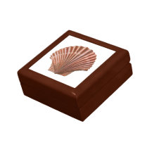 Scallop Shell Keepsake Box