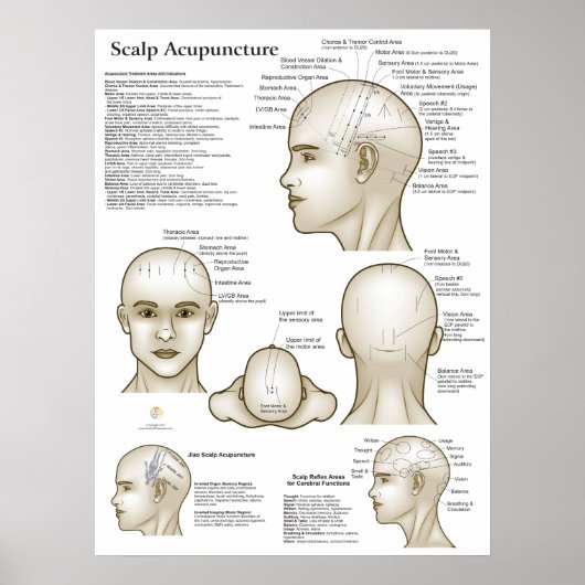 Scalp Head Acupuncture Points ポスター (正面)