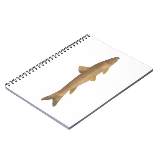 Scaly Osman ノートブック (左側)