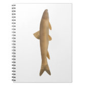 Scaly Osman ノートブック (正面)