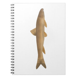 Scaly Osman ノートブック