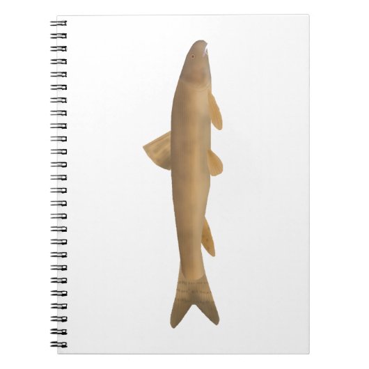 Scaly Osman ノートブック (正面)