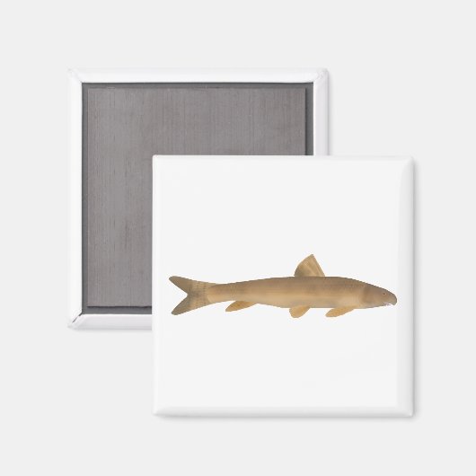 Scaly Osman マグネット (正面/裏面)