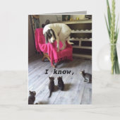 SCARDY犬 カード (正面)