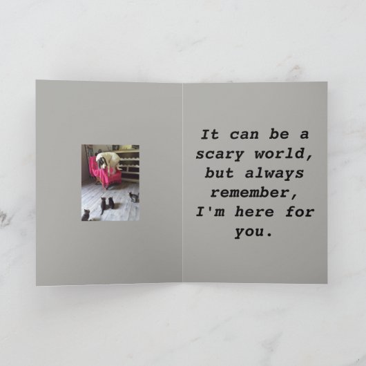 SCARDY犬 カード (内部)