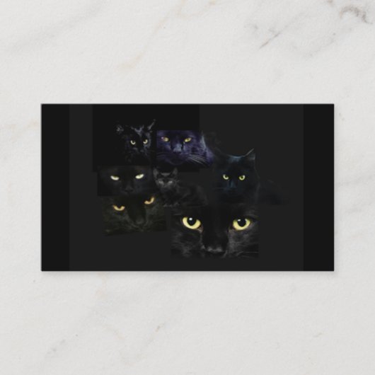 Scaredy猫の名刺 名刺 (正面)