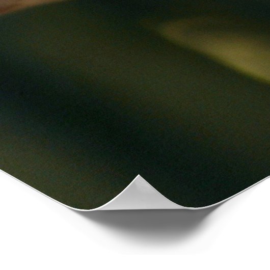 Scarlet Macaw ポスター (角)