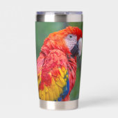 Scarlet Macaw 保温保冷タンブラー (正面)