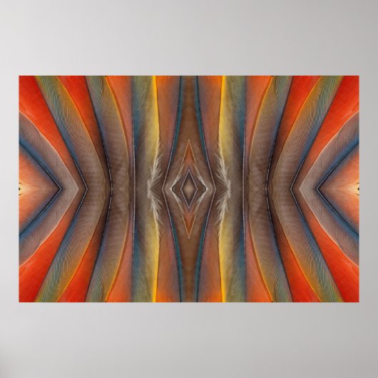 Scarlet Macaw feather design ポスター (正面)