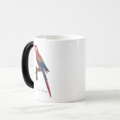 Scarlet Macaw or Red-Breasted Macaw, Ara macao モーフィングマグカップ (正面左)