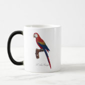 Scarlet Macaw or Red-Breasted Macaw, Ara macao モーフィングマグカップ (左)