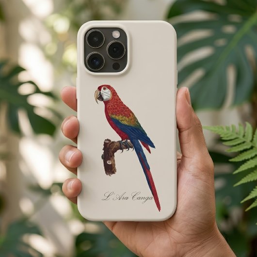 Scarlet Macaw or Red-Breasted Macaw, Ara macao Case-Mate iPhoneケース
