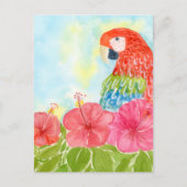 Scarlet Macaws and Pink Hibiscus ポストカード (正面)