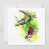 Scarlet Tanager +ペア ノートカード (正面)