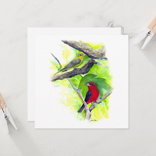 Scarlet Tanager +ペア ノートカード